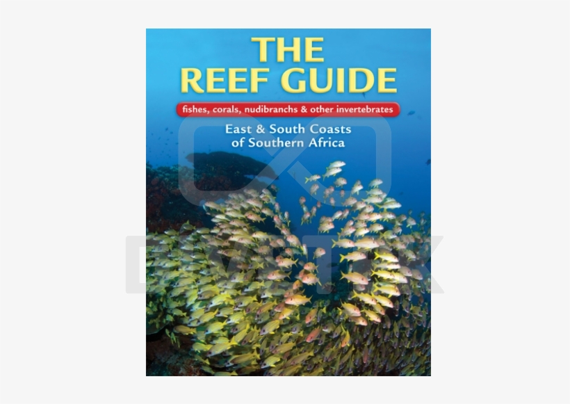 The Reef Guide - Reef Guide, transparent png #883498
