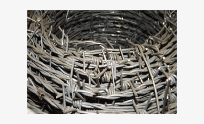 Barbed Wire, transparent png #883682