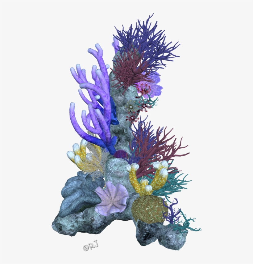 Coral Aquarium Clipart
