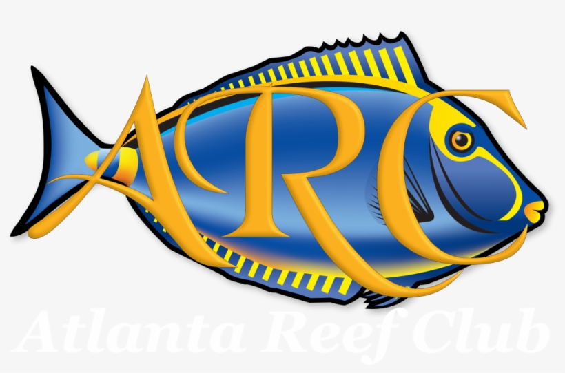 Atlanta Reef Club - Library, transparent png #883733