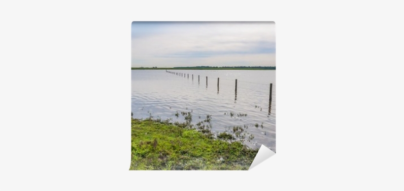 Flooded Grassland With A Barbed Wire Fence Wall Mural - Fence, transparent png #883779