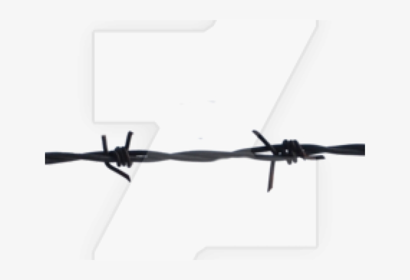 Vector Freeuse Stock Barb Wire Clipart Electricity - Barbed Wire, transparent png #884028