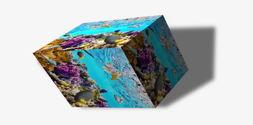 Cgarces14ala3p Cgarces-reef - Visual Arts, transparent png #884032