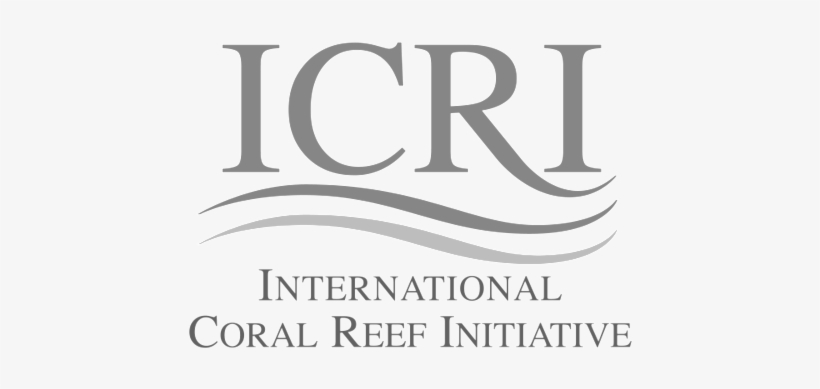 Icri Squ Grey Smlll - International Coral Reef Initiative, transparent png #884093