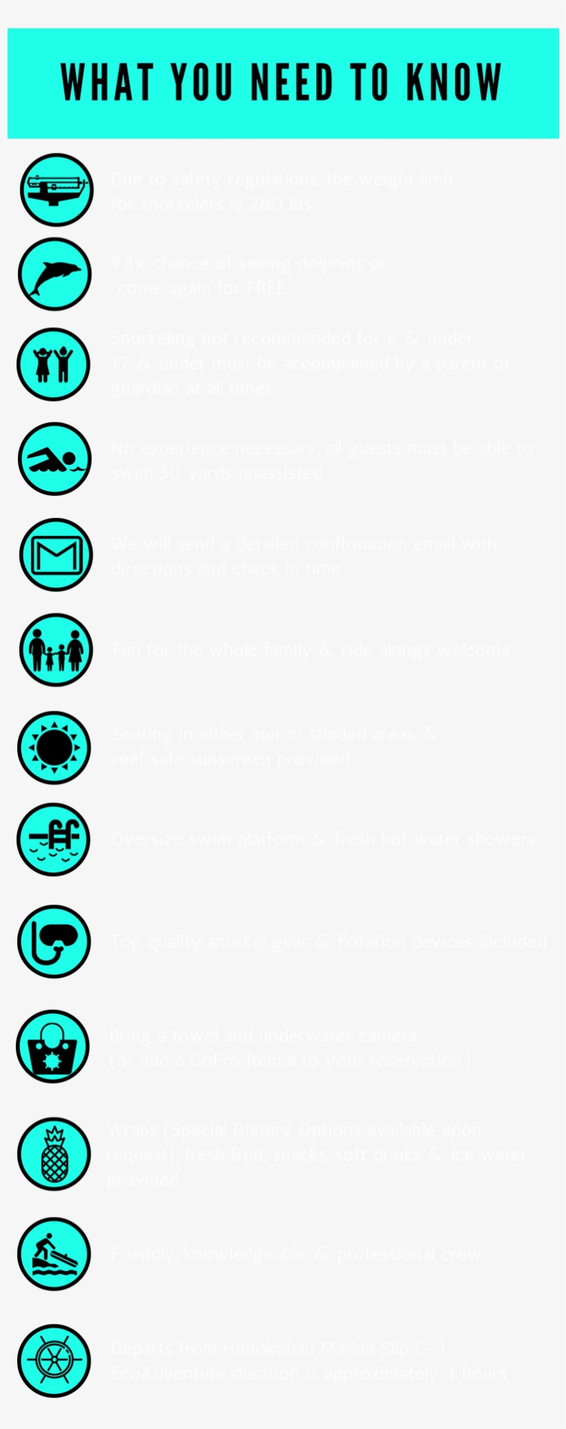 Whatyouneedtoknowkdea - Dolphin - Scuba Diving, transparent png #884144