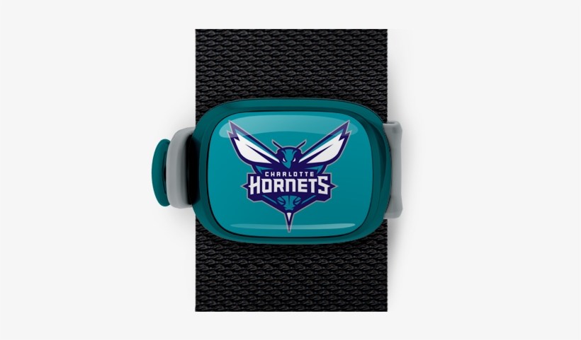 Charlotte Hornets Stwrap - Charlotte Hornets 12-in Cutout 1 Per Pkg ( 6 Pkgs Per, transparent png #886196