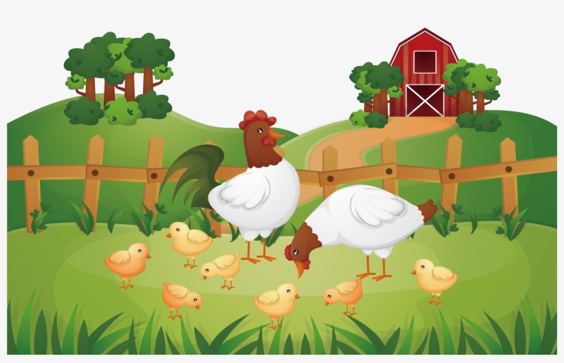Animal Farm Chicken Rooster Poultry Farming - Chicken Farm Illustration, transparent png #886854