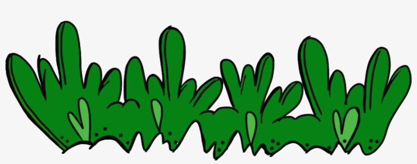 Grass Clip Art Border - Grass Cartoon Clipart, transparent png #886909