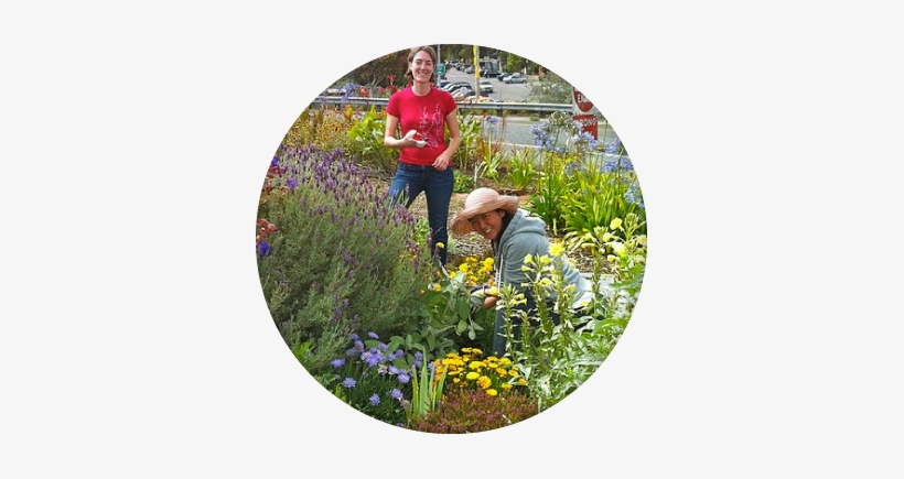 What Is Sf Plant Finder - San Francisco, transparent png #888531