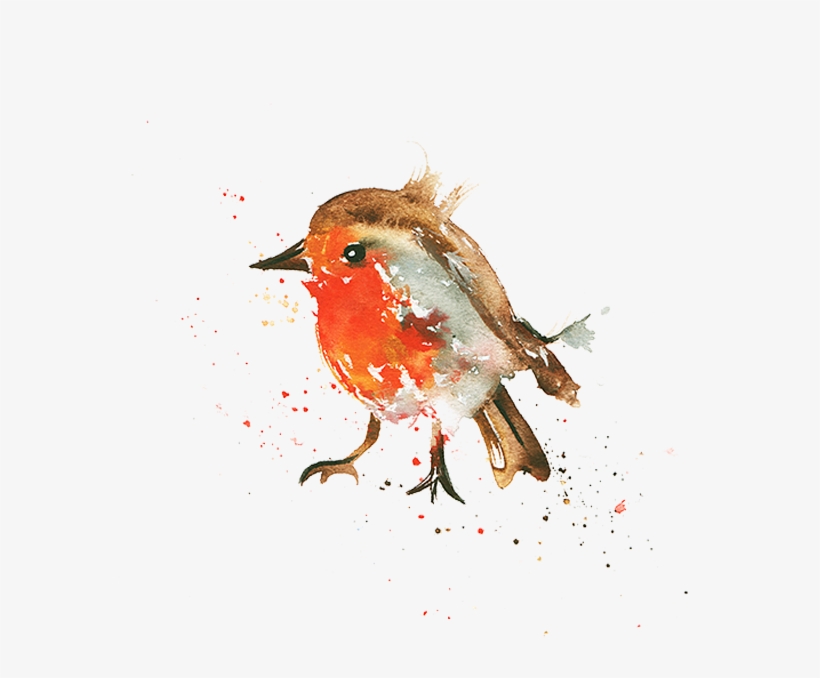 Mr - Robin - European Robin, transparent png #889286