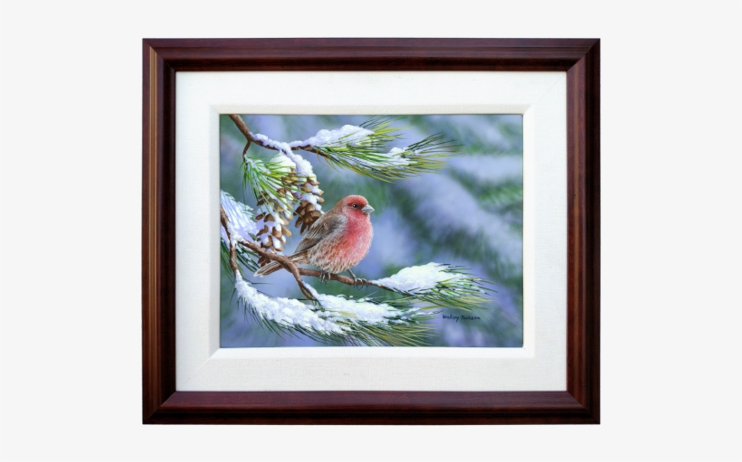 Winter Perch - House Finch - Original Artwork - Ptaki Zima Na Pulpit, transparent png #889410