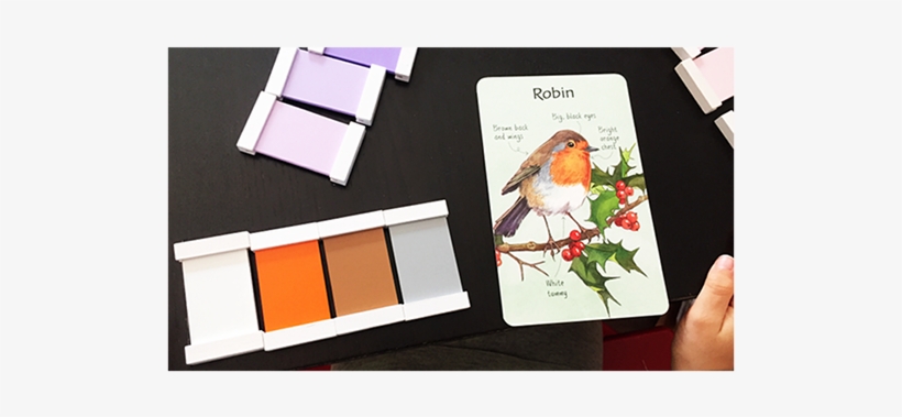 For Home & Classroom - European Robin, transparent png #889655