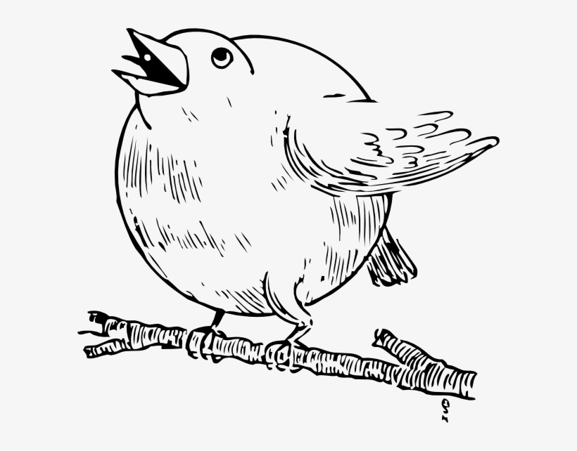 Free Vector Round Robin Clip Art - Round Robin Bird Png, transparent png #889793