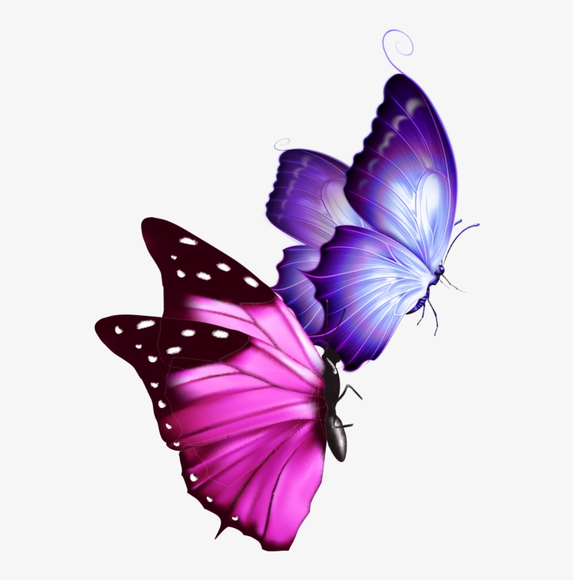 Mq Sticker - Papilio, transparent png #8800116