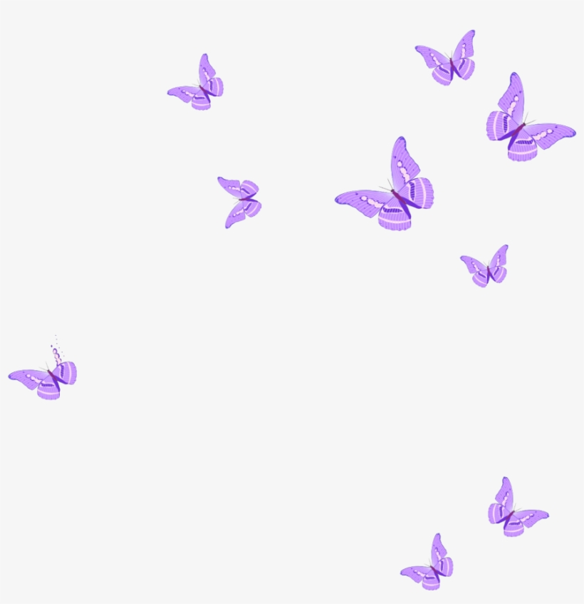 Mq Sticker - Pink Butterflies Png, transparent png #8800327