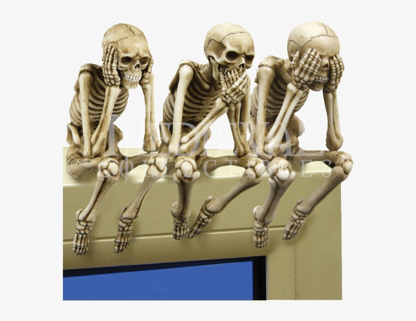 See No Evil, Speak No Evil, Hear No Evil - Сколько Костей У Человека, transparent png #8803028