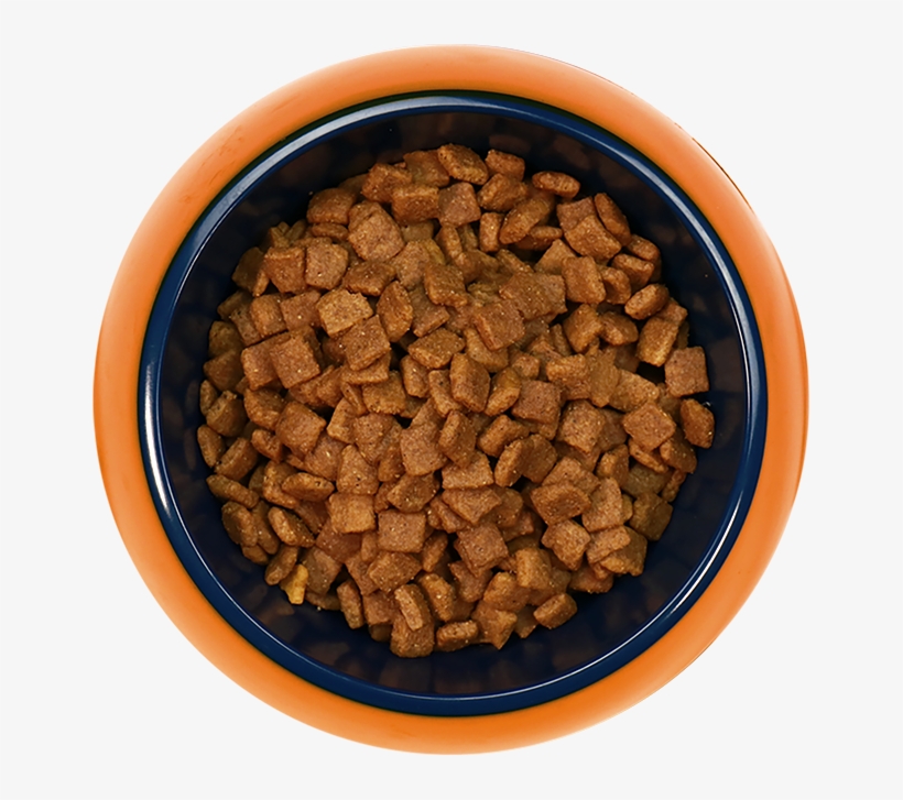 Find Your Recipe Food Bowl - Breakfast Cereal, transparent png #8803135