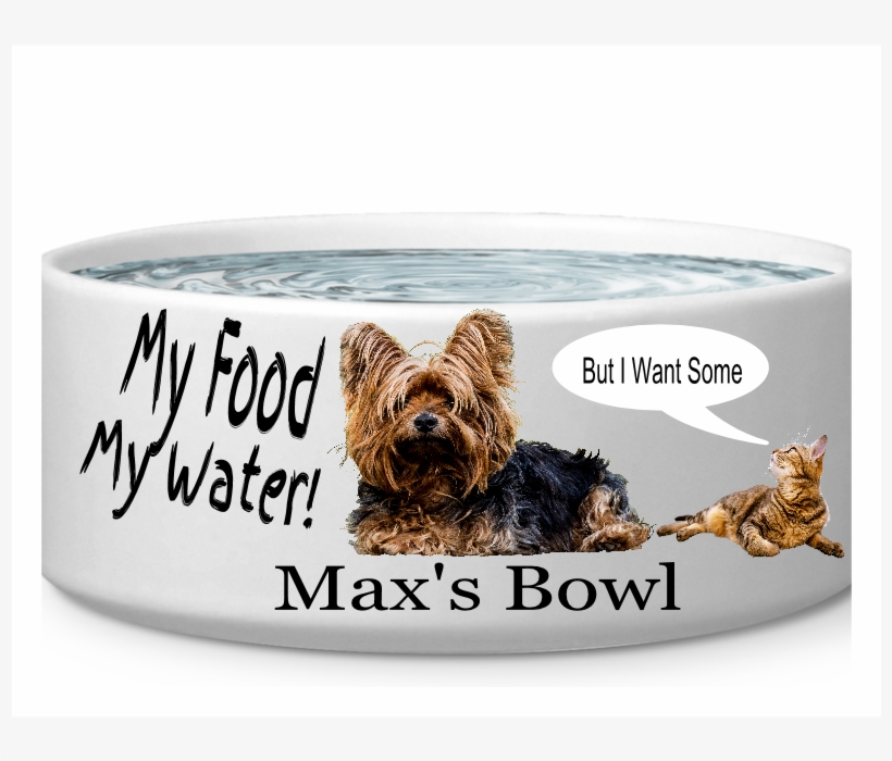 Australian Silky Terrier, transparent png #8803317