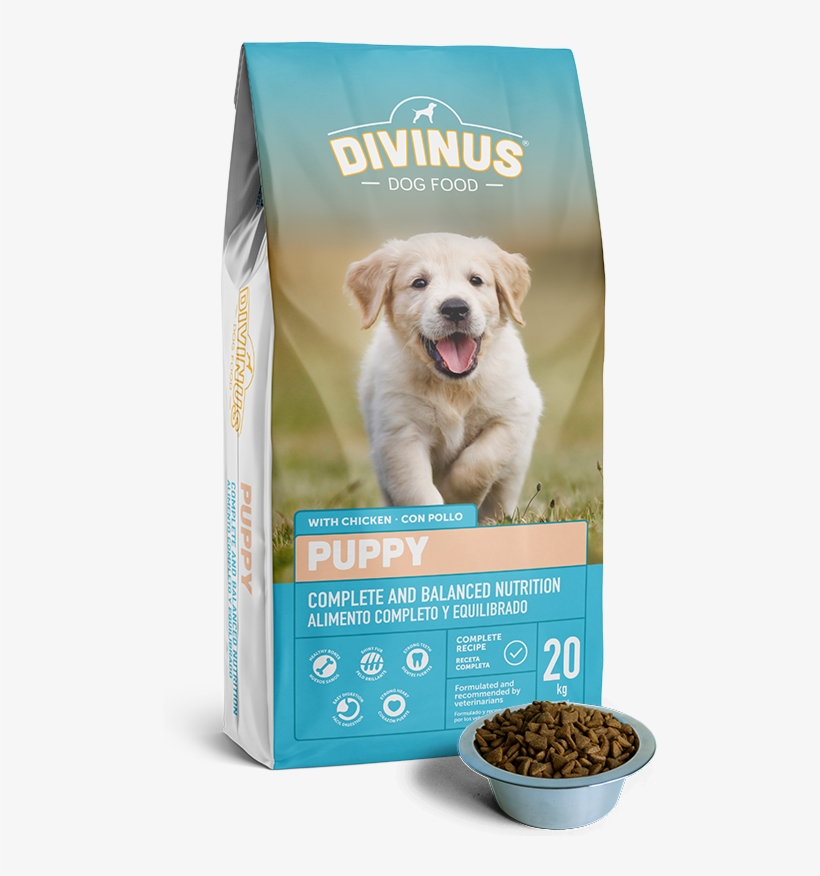 Dog - Puppy - Divinus Karma, transparent png #8803454