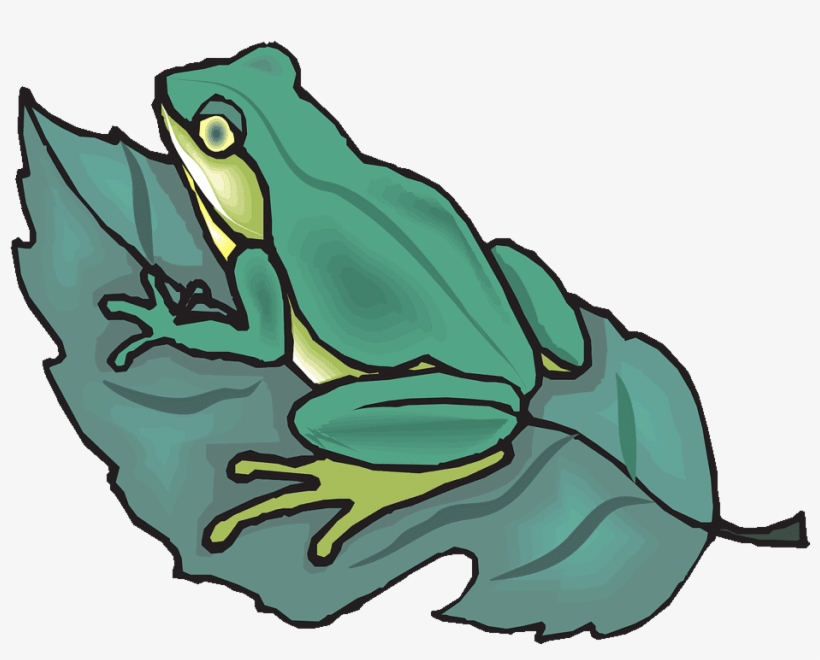 Don't Want It On The Leaf - Frog On Leaf Clipart, transparent png #8803913