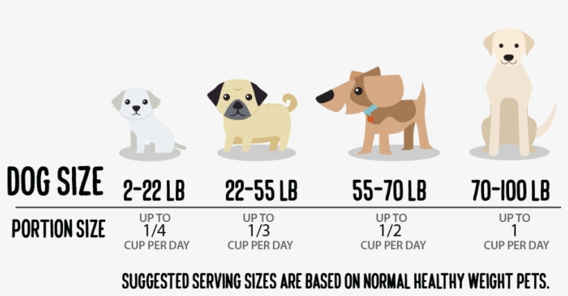 Slim'dog Portion Picker - Companion Dog, transparent png #8804239