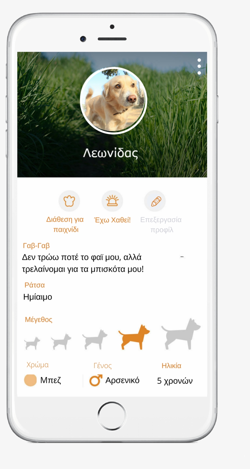 Now You Can Find At Any Any Time Your Furriend's Position - Labrador Retriever, transparent png #8804277