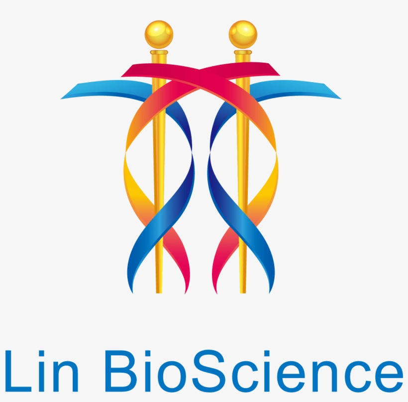 Lin Logo - Lin Bioscience Logo, transparent png #8805897