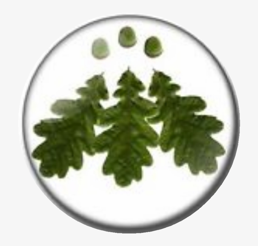 Circle, transparent png #8807436