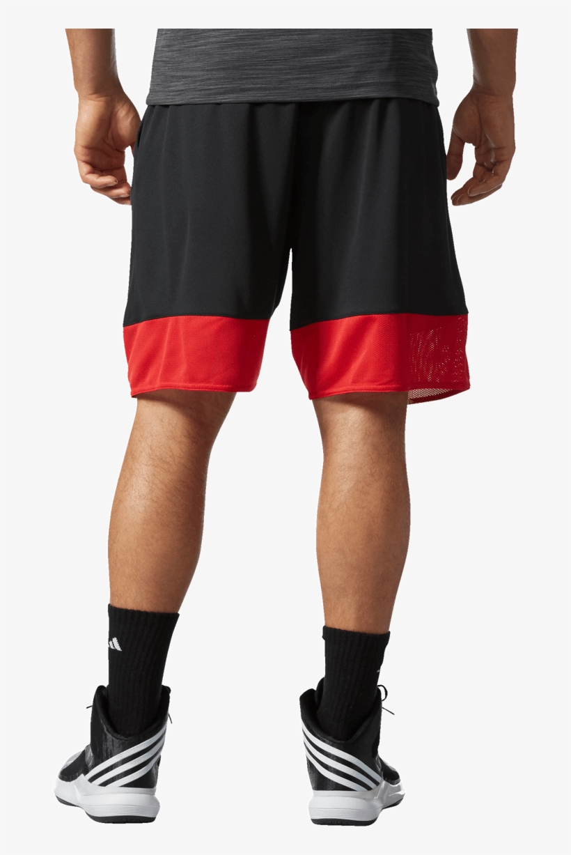 Adidas Chicago Bulls Shorts - Board Short, transparent png #8808443