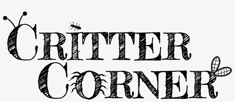Critter Corner - Giias Educare, transparent png #8809111