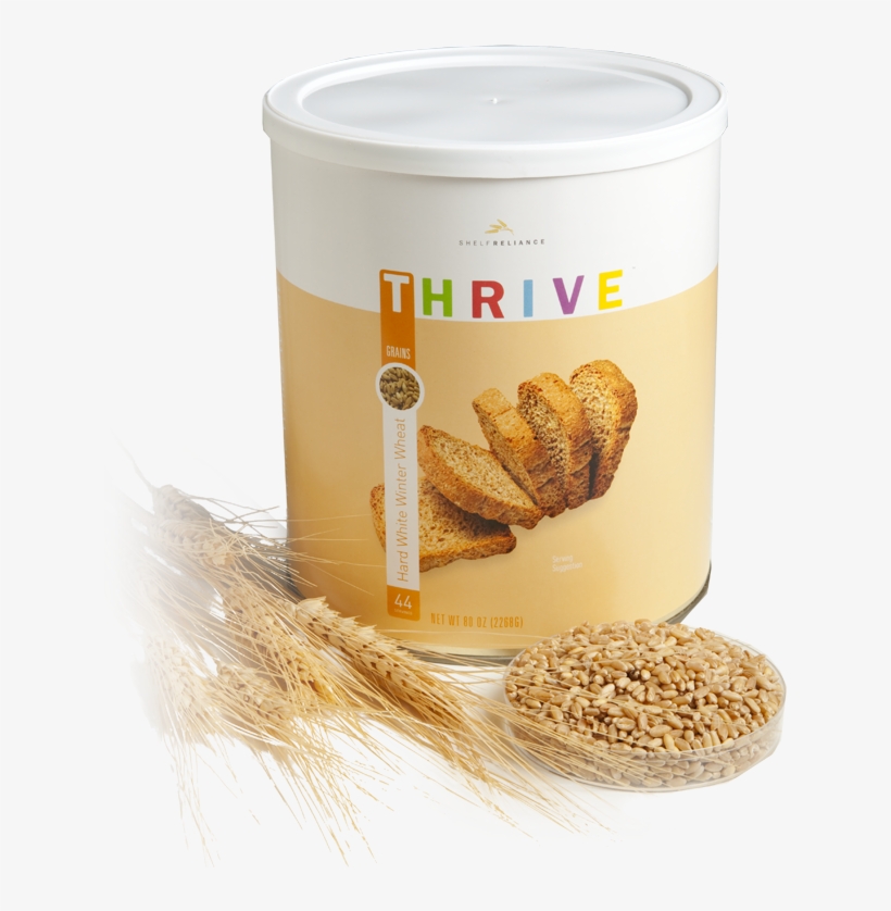 Trigo Duro Blanco De Invierno - Einkorn Wheat, transparent png #8809342