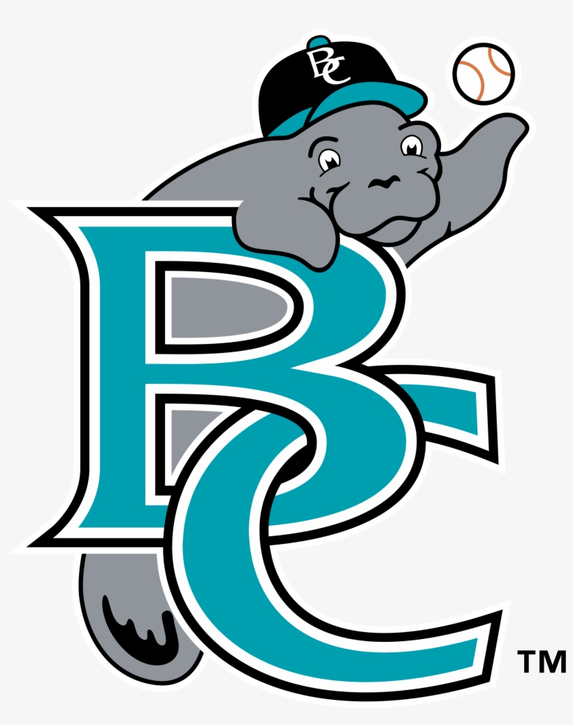 Brevard County Manatees Logo Png Transparent Vector - Brevard County Manatees, transparent png #8810352