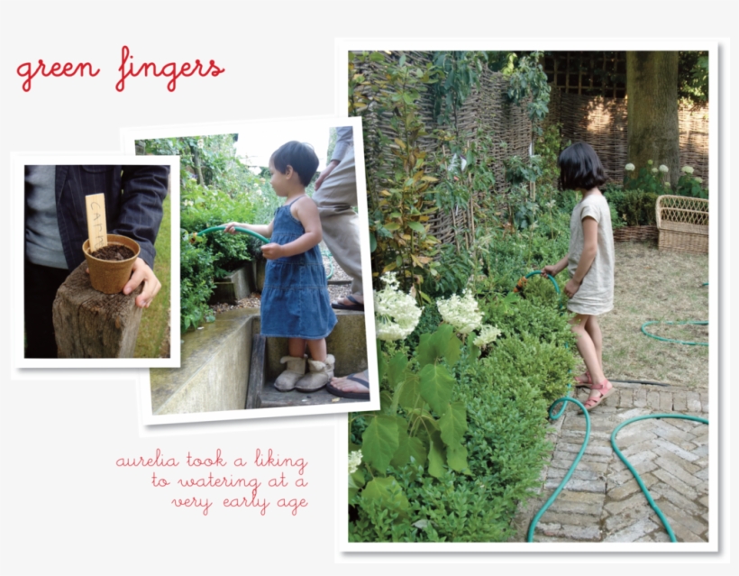 Yard, transparent png #8811179