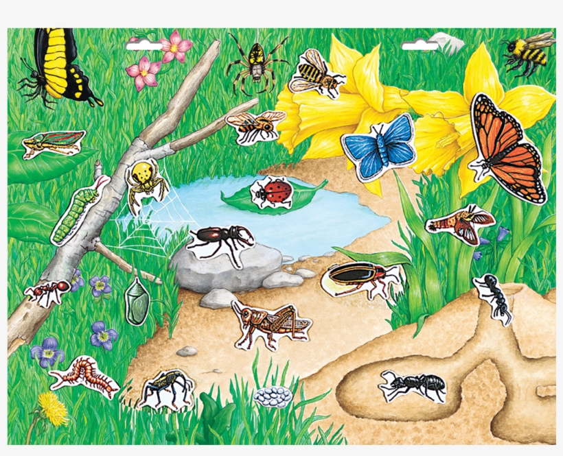 Create A Scene™ Magnetic Bugs™ - Illustration, transparent png #8811912