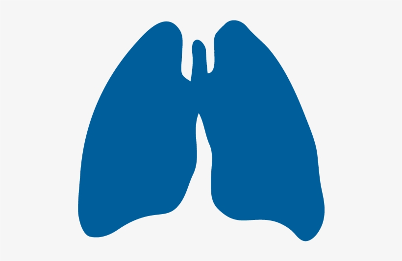 Precision Laboratory Instruments For Pulmonary Research, transparent png #8813445