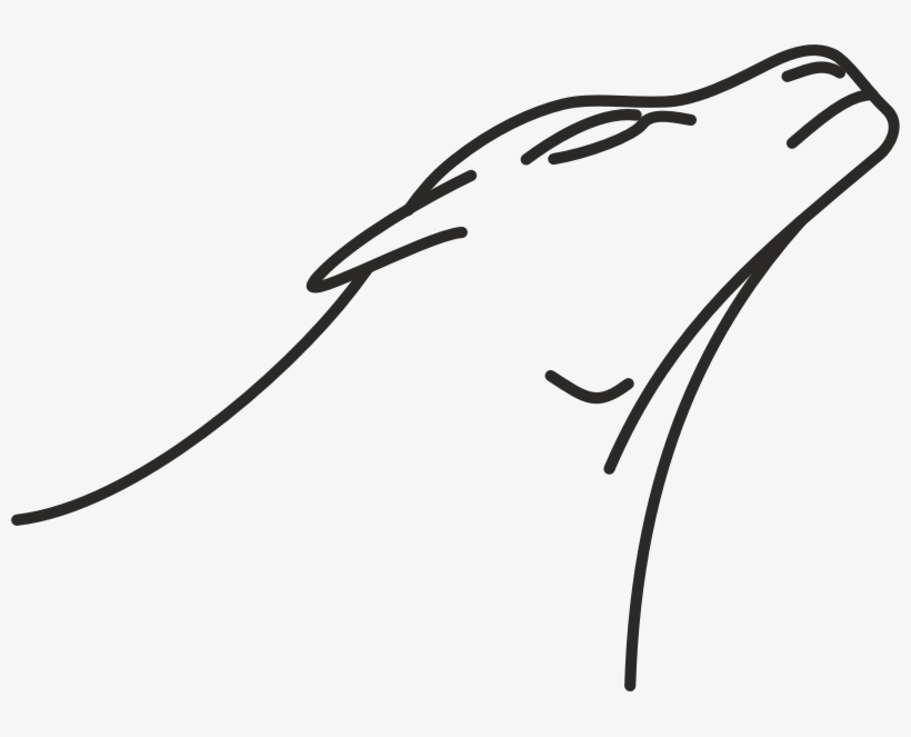 Medium Image - Clip Art, transparent png #8814207