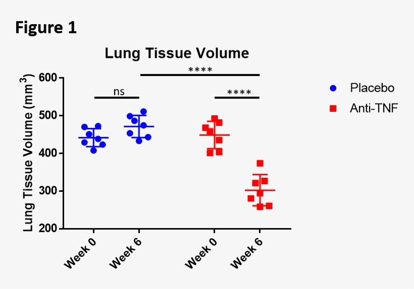 Tnf Tg Mice Lungs That Was No Longer Present After - Diagram, transparent png #8814249