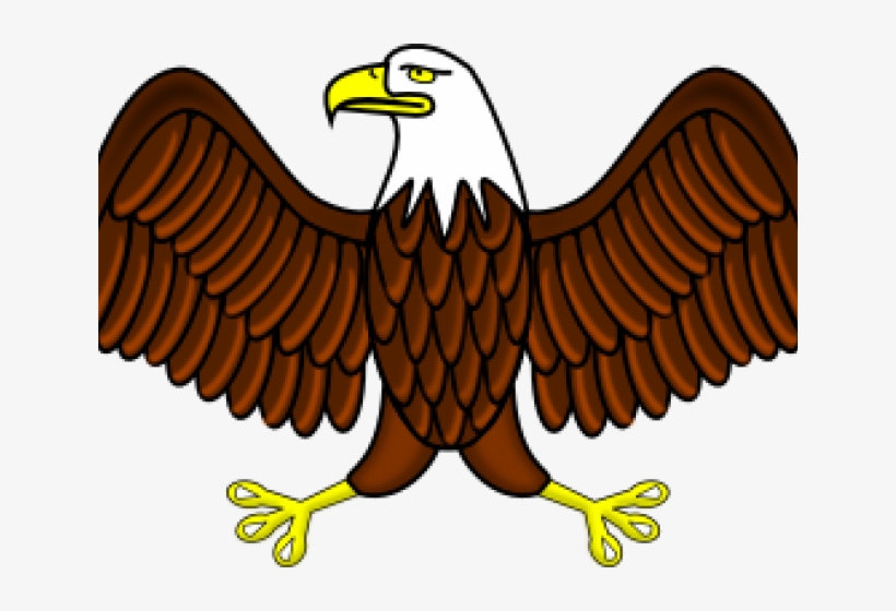 Phillipine Eagle Clipart Vector - Eagle Clipart, transparent png #8816096