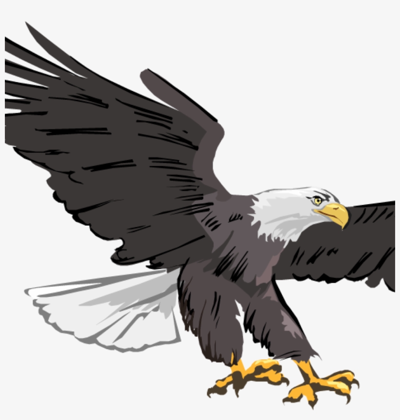 Clip Library Library Free Hatenylo Com Bald Images - Eagle Clipart, transparent png #8816167