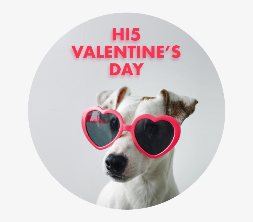 For The Boo Of Your Life - Companion Dog, transparent png #8816257