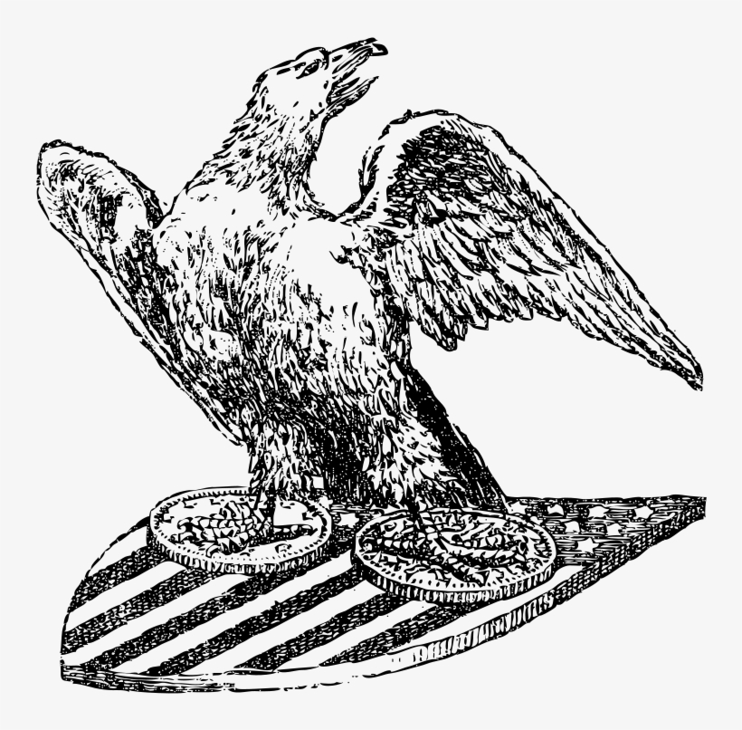 Eagle And Shield - Peregrine Falcon On Shield, transparent png #8816440