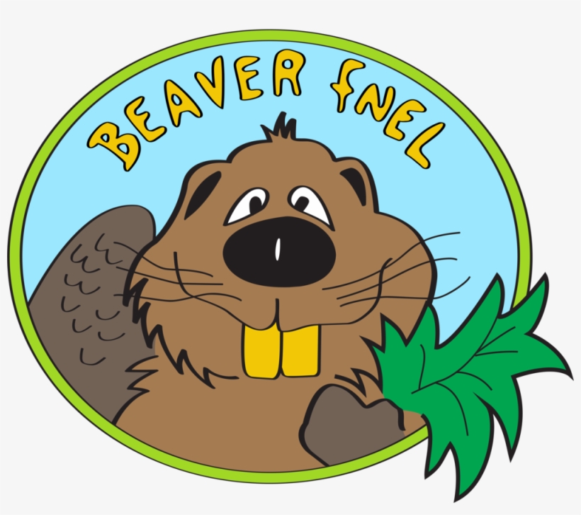 Beaver - Beaver Fnel, transparent png #8817274