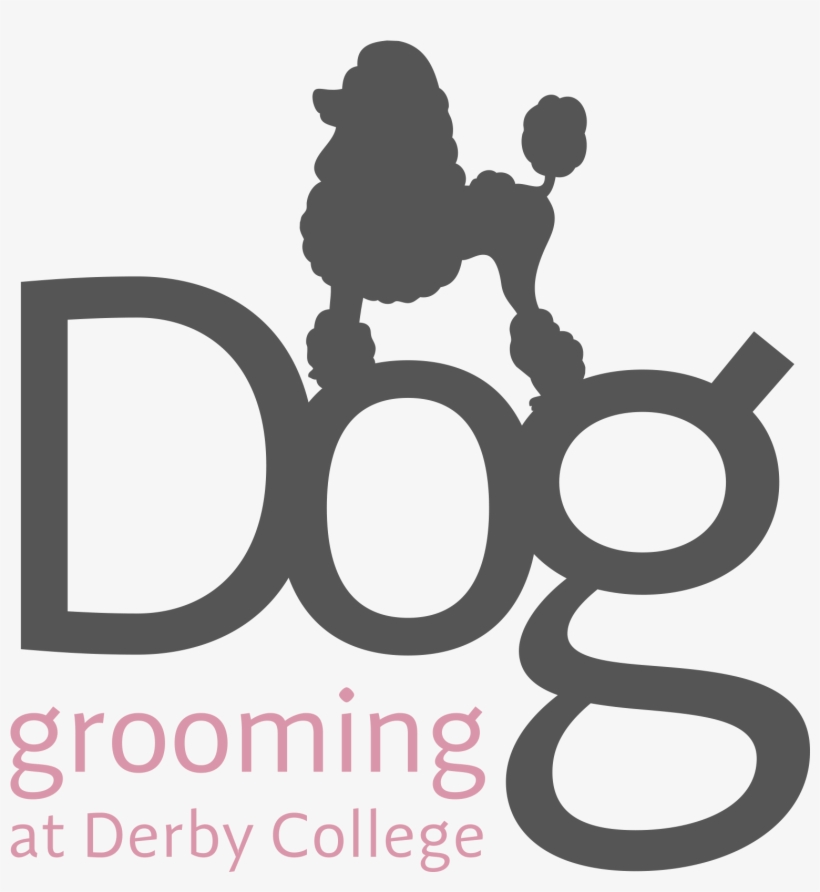 Dog Grooming - Poodle Vector, transparent png #8817460
