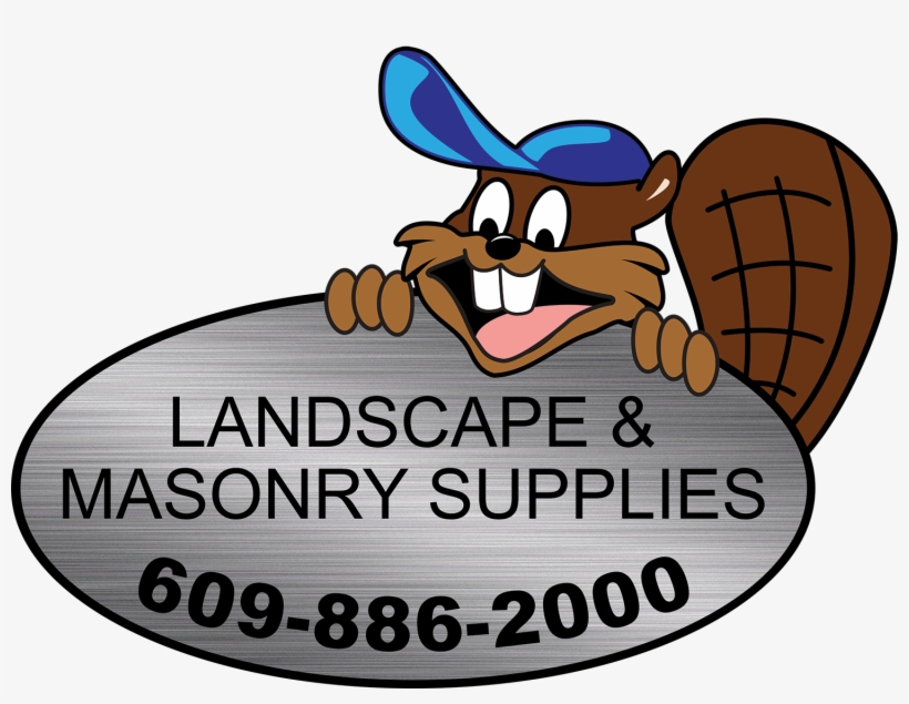 Follow - Cartoon, transparent png #8817715