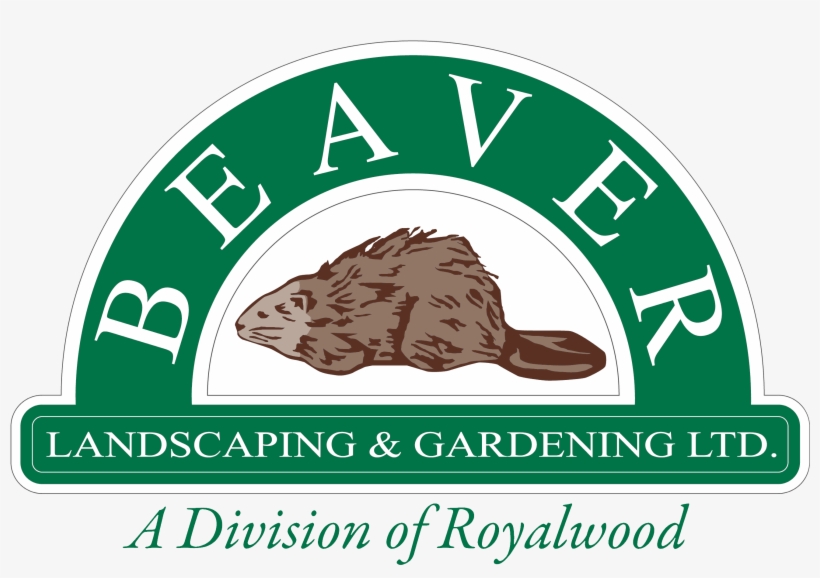 Beaver Landscaping & Gardening - M A House Gangster, transparent png #8817874