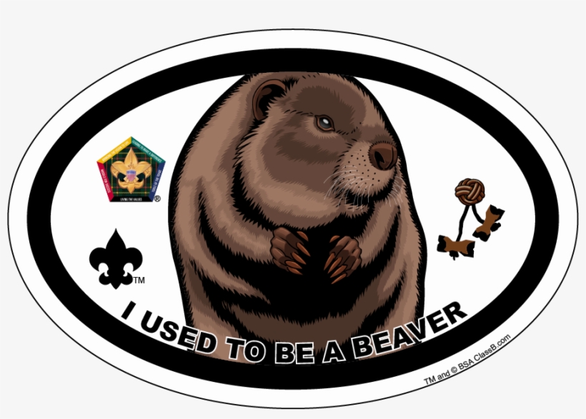 Categories - Wood Badge Buffalo, transparent png #8818047