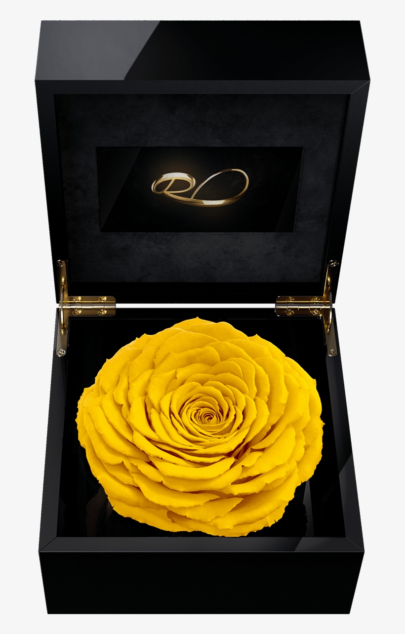 Luxury Video Flower Box Magna With A Xl Preserved Yellow - Rose, transparent png #8818050