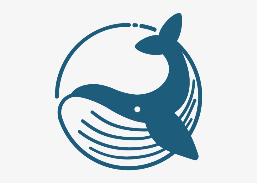 Blue Whale Foundation, transparent png #8818505