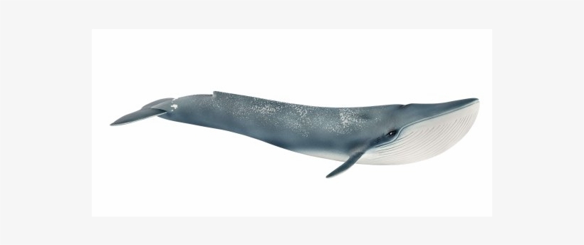 Whale Toys Schleich, transparent png #8818901