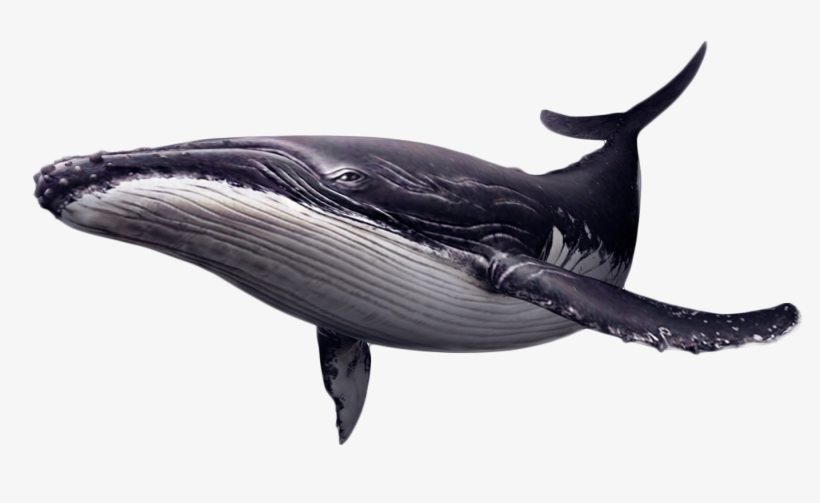 Share This Image, transparent png #8819359